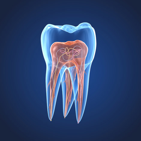 Todo lo que no sabías sobre la endodoncia.